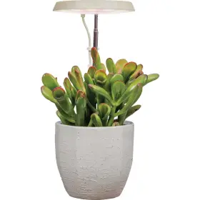 980201-0100-02 Aerogarden Stem 5w Led Cream Tabletop Grow Light