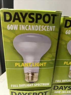 Agrosun 638104104135 Set Of 3 Dayspot Incandescent Bulb 60w Plant Light Terrarium Bonsai #3