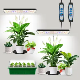 Bl-j10a Aumtrly Grow Light Full Spectrum Desktop Plant Lights For Indoor Growing Seedling 2