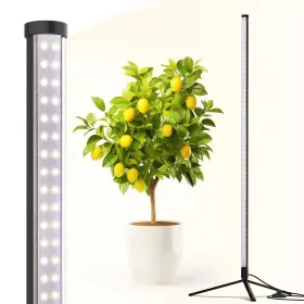 T10l42 Barrina Standing Grow Light T10 42w 5000k Full Spectrum Led Plant For