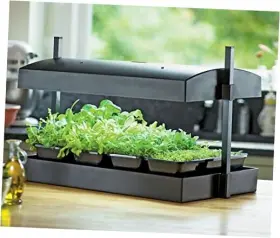 Sbl1600200 Bfg Supply Future Harvest Development Grow Light Garden Medium Black