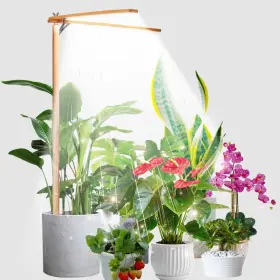 Bk-pl2tou-v1 Bodkar Wooden Grow Lights For Indoor Plants Full Spectrum Slim Plant Growing