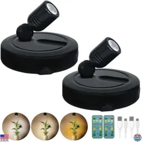 B-qx009hy-2 Brand Bergustch Rechargeable Spotlight Indoor Battery Operated Picture Light With Remote 3