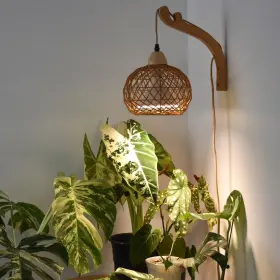 Bp-w001 Bstrip Hanging Grow Lights For Indoor Plants 18w Full Spectrum Boho Rattan