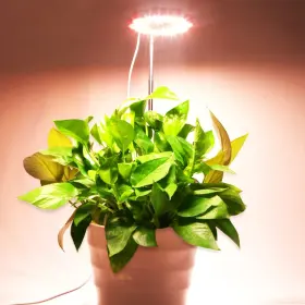 Cg-dcd-1 Canagrow Grow Light 2 Pack Full Spectrum Led Plant Lights For Indoor Plants