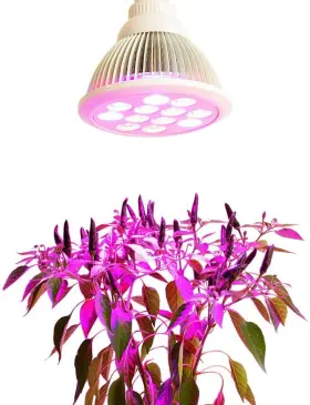 Ecosuma 711091622711 Hydroponic Led Grow Light Bulb For Flowers Greenhouse Plants Vegetable 12 Watt