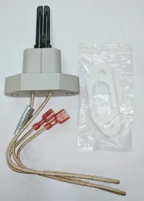 Ign2002300r Etna Igniter And Gasket Replacement Kit Replaces Rw2002300