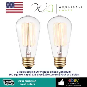 31321 Globe Electric 60w Vintage Edison Light Bulb S60 Squirrel Cage E26 Base 220