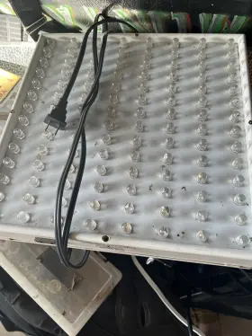 Gp1-98567 Glowlight Glowpanel Led 12 Inch X12 Hydroponics Grow Panel Light