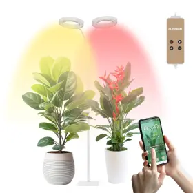 Gc010003 Glowrium Grow Lights For Indoor Plants Full Spectrum 40w Aluminum Floor Plan