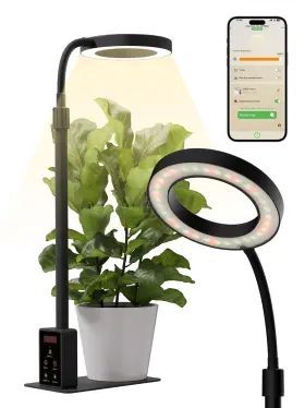 Lb-c037 Glowrium Smart Led Grow Lights For Indoor Plants Desk Plant Light With Bluet