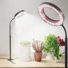 12vdeskgrow Gooingtop Grow Light 50w 6000k Led White Full Spectrum Plant Growing Lamp Fo