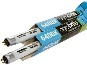 Hydrofarm 691044448035 6400k Bulbs 4-pack Flt5464 4-feet 54-watt T5 Agrobrite Fluorescent 4 #3