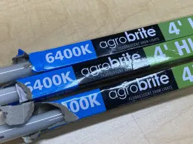 Hydrofarm 696579426398 6400k Bulbs 3-pack Flt5464 4-feet 54-watt T5 Agrobrite Fluorescent #3