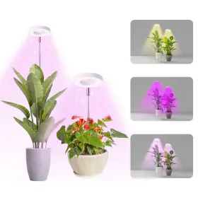 Hywyimlait 751713959986 Halo Ring Grow Lights For Small Indoor Plants Red Blue Yellow Ligh... Fast Ship