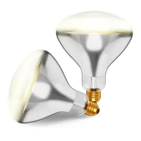 250r40 Kor K22546 250r40/1 250-watt Incandescent R40 Reflector Clear Head Lamp Heat Flood La