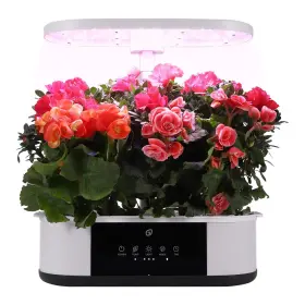 Litake 196336961723 12 Pods Hydroponics Growing System Indoor Garden With 3 Planting Modes