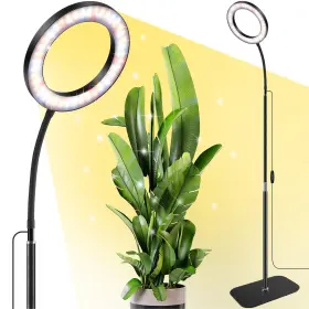 Dyh-2 Lpmzmbl One Head Grow Lights For Indoor Plant Full Spectrum