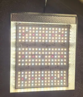 Mars Hydro Mhef225ledn01a0.1-120u Ts 1000 Led Grow Light Full Spectrum 150w Indoor Veg Flower