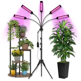 Xt10s Mieemclux Grow Lights For Indoor Plants Full Spectrum Red Blue Sunlike 450 Leds Plan