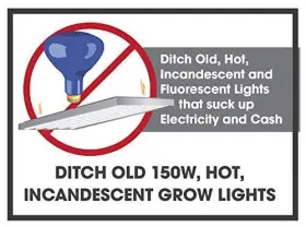 604868 Miracle Led Absolute Daylight Spectrum Ultra Grow Lite 2-pack 12w #3