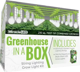 601622 Miracle Led 810036509084 Greenhouse In A Box Grow Kit 6-pack - 6 Strings 24 Bulbs