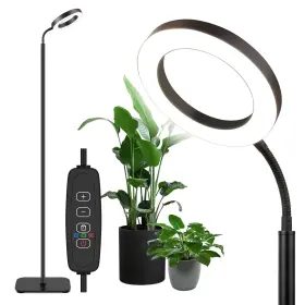 Mistyjungle 724087129620 Grow Light For Indoor Plants Floor Full Spectrum Plant Lights With Stand Lar