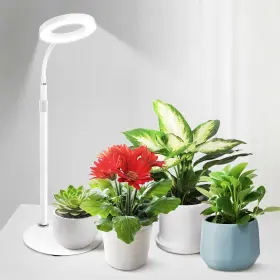 Mistyjungle 792105028323 Desk Grow Lights For Indoor Plants Red Blue Uv Full Spectrum Desktop Led Pla