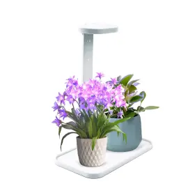 Lt00175s1-11g Noyskamo Small Grow Lights For Indoor Plants With Red Blue Spectrum Usb Powered Indoo