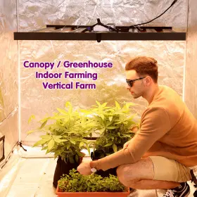 Ph-d8-e Phlizon 640w Samsung Led Plants Grow Light Lamp Dimmable Full Spectrum Indoor Veg Flower