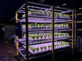 Gl-3070 Sonaray 70w Led Horticulture Light Bar