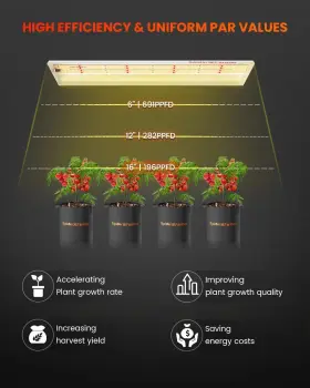 Sf300 Spider Farmer 114129909769 2024 New Led Grow Lights Full Spectrum Plant Light #3