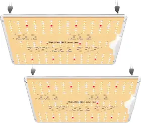 Sf1000d Spider Farmer 800689571248 2pack Led Grow Light Penetration And Ir Lights Full Spectrum 2x4 Tent