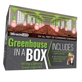 601589 Stimulus Brands Llc Greenhouse In A Box Grow Kit For Indoor Plants - Includes 4 Red Spectrum