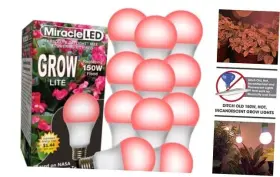 607952 Stimulus Brands Llc Commercial Hydroponic Ultra Grow Lite Replaces 150w Red Spectrum 12pck