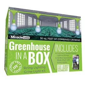 609059 Stimulus Brands Llc Almost Free Energy Greenhouse In A Box Grow Light Kit For Indoor Plants