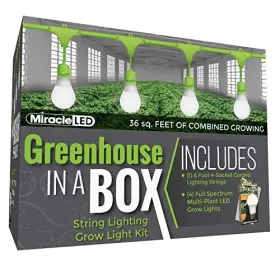 Stimulus Brands Llc 810065873705 Greenhouse In A Box Grow Kit For Indoor Plants - Includes 4 Wide Angle Full