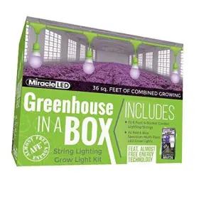 Stimulus Brands Llc 810102945310 Almost Free Energy Greenhouse In A Box Grow Light Kit For Indoor Plants