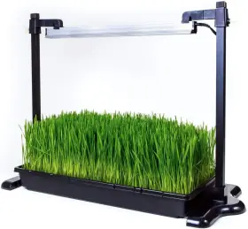 Sunblaster 114129816463 18 Inch Led Intermediate Grow At Home Greenhouse Kit #2