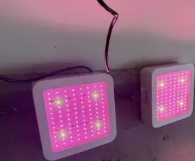 Vander Yt-zewb300nz 300w Led Grow Light Full Spectrum For Hydroponic Indoor Plants
