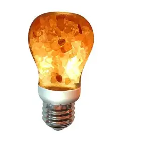 A-1001 Wbm Led Salt Light Bulb