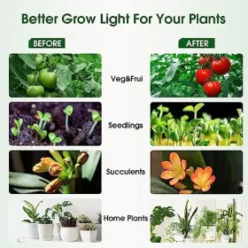 Yga03c56 Yankon Energetic Led Grow Light Bulbs For Indoor Plants A19 Bulb 2 Count Pack Of 1 #3