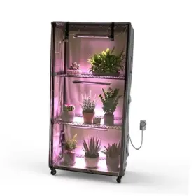 Greenhouse-01 Zuwachs Indoor Greenhouse With Grow Lights Plant Shelf Black Tea Pvc Cover - All
