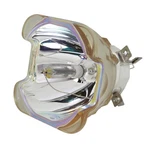 Ushio E21.9 Ac Bare Projector Lamp NSHA400W - 240 Day Warranty. Fixed Price $199.99.