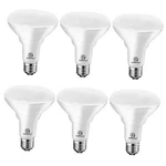 Energetic Energy Star Led BR30 Flood Bulbs Indoor, 5000K Daylight. Fixed Price $31.99.