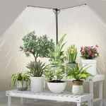 Full Spectrum Led Lights Sun Dimmable Growing Lamp For Indoor Plants. Fixed Price $12.49.