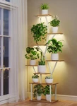 Plant Stand Indoor With Grow Lights - 64" Tall Shelf Lighted Corner Pla.... Fixed Price $132.65.
