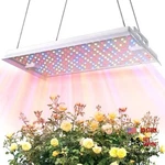 Plant Grow Light, Smart App 2X3 Ft Coverage Genuine 100W(LIGHT Panel). Fixed Price $184.29.