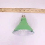 Feit Electric Terrarium Flood Plant Aquarium Led Light Bulb Plastic Blue 120V. Fixed Price $15.77.