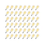 48 Pack ST38 Led Replacement String Light Bulbs, 1WATT Equivalent T... Fast Ship. Fixed Price $39.99.